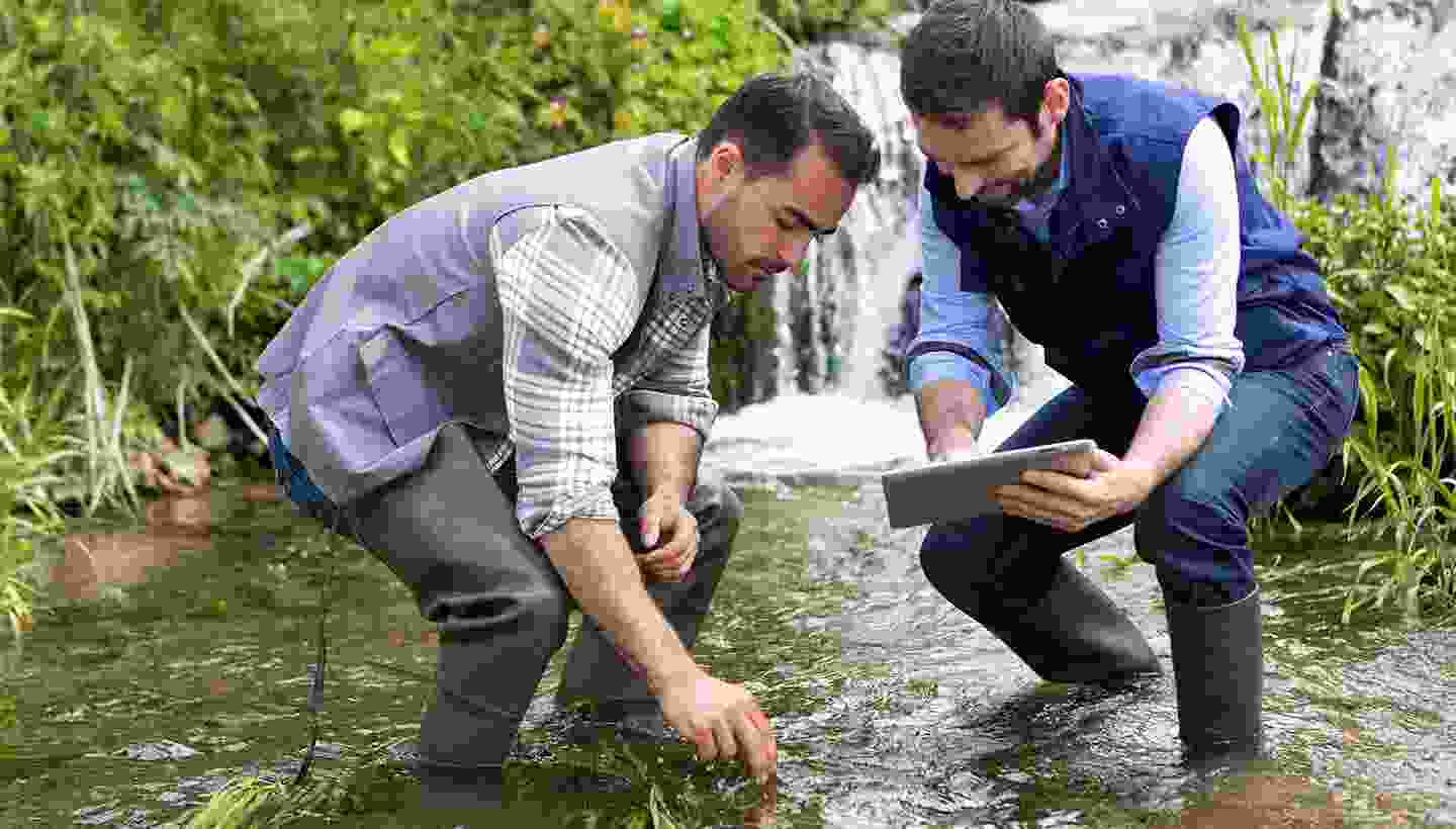 Freshwater pollution audit